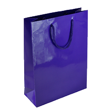 Gloss luxury bag