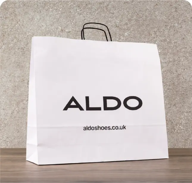 Twisted handle paper bags
