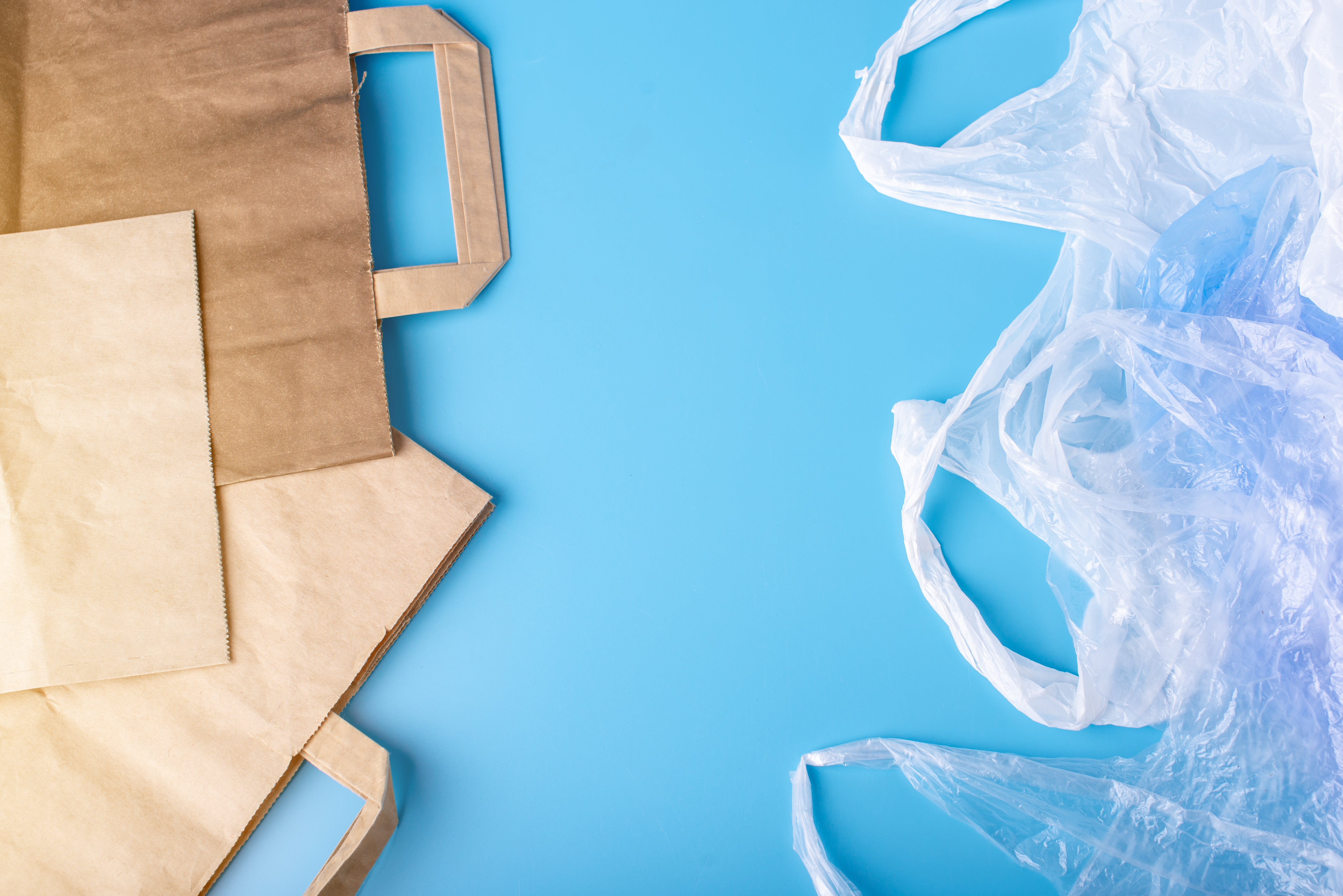 Paper Bags vs Plastic Bags - Are Paper Bags A Downgrade?